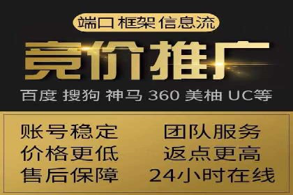 行业标杆：SEM托管公司案例解析